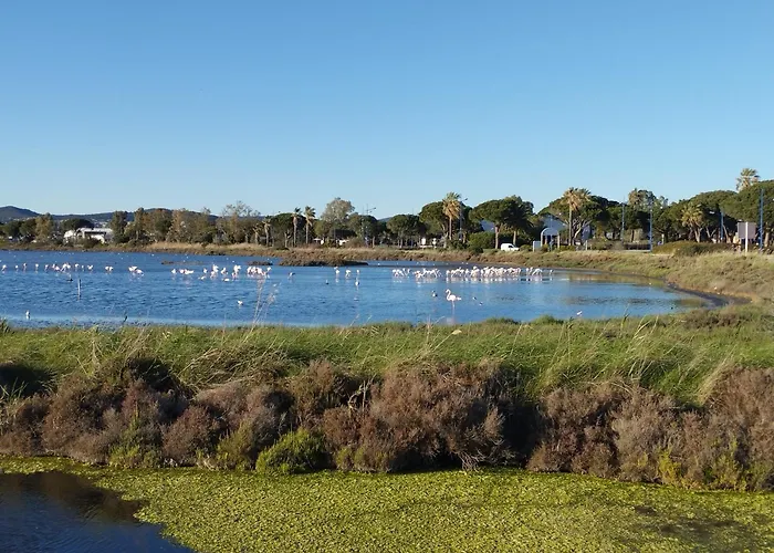 Le Surplage Motel Hyères