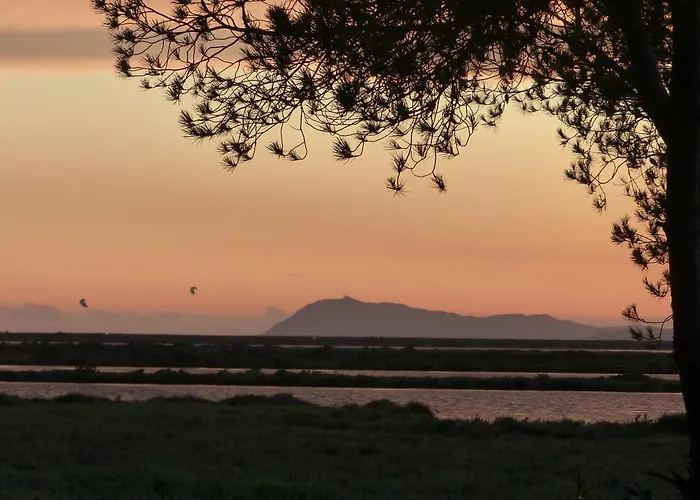 Le Surplage Motel Hyères