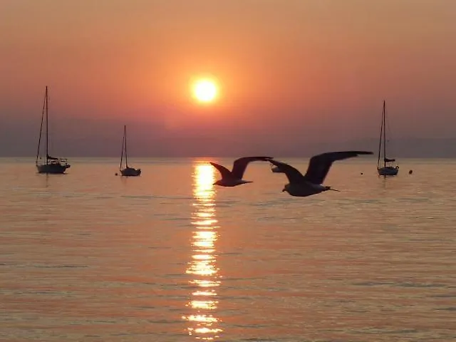Le Surplage Motel Hyères