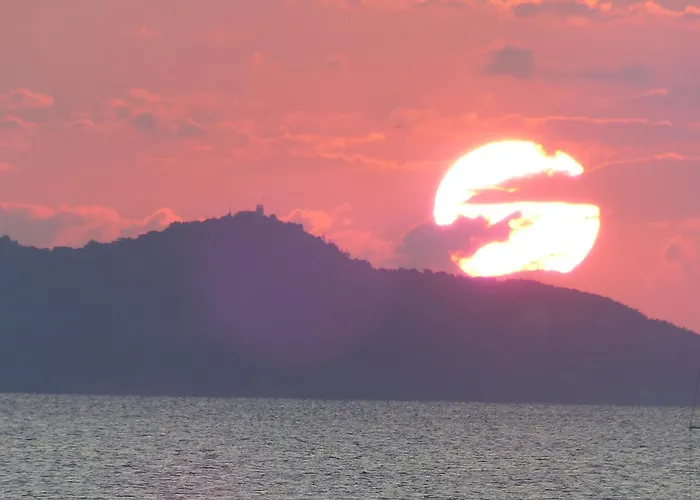 Motel Le Surplage Hyères