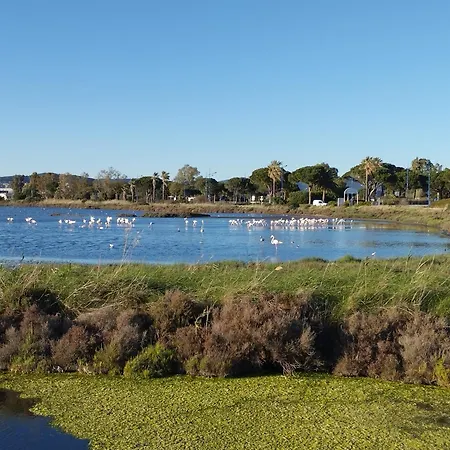 Le Surplage Motel Hyères