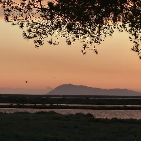 Le Surplage Motel Hyeres
