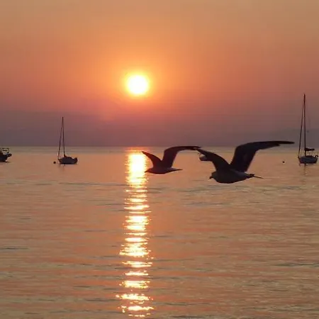 Le Surplage Motel Hyeres