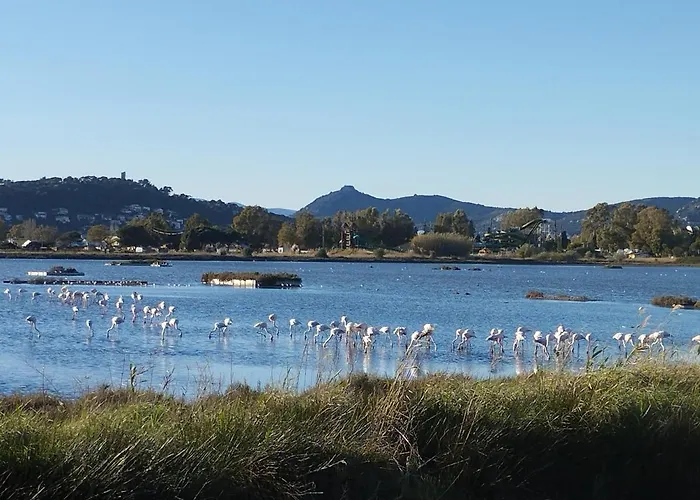 Le Surplage * Hyères